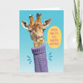 Giraffe-Sweater Weather bättre än NotEaster Kort