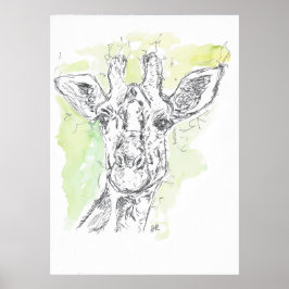 Giraffe teckning. poster