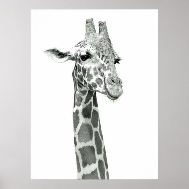 Giraffe Teckning Poster (Framsidan)