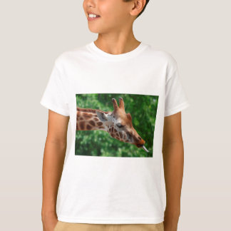 Giraffe Tröja