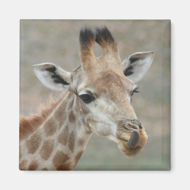 Giraffe Tunga Magnet (Framsidan)