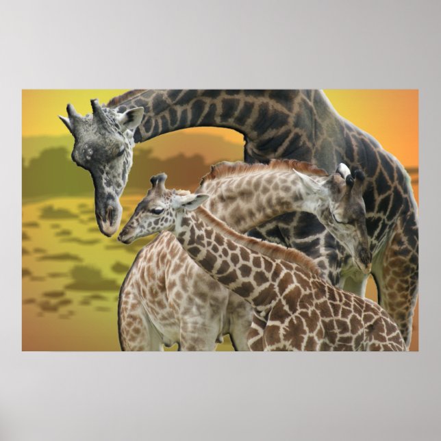 GIRAFFE TWISTER KÄRLEK TRIANGLE FRAMED SKRIV UT POSTER (Framsidan)