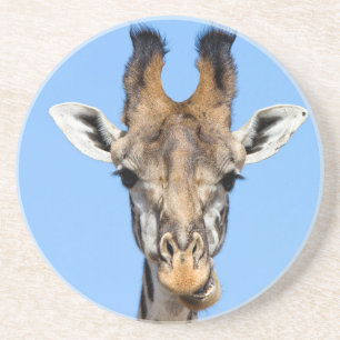 Giraffe Underlägg