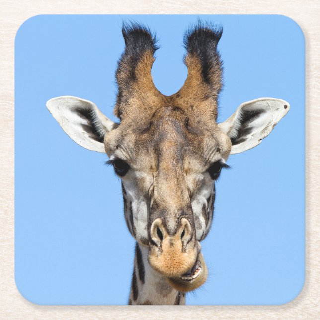 Giraffe Underlägg Papper Kvadrat (Framsidan)
