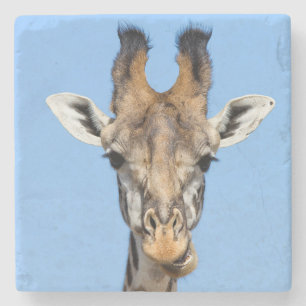 Giraffe Underlägg Sten