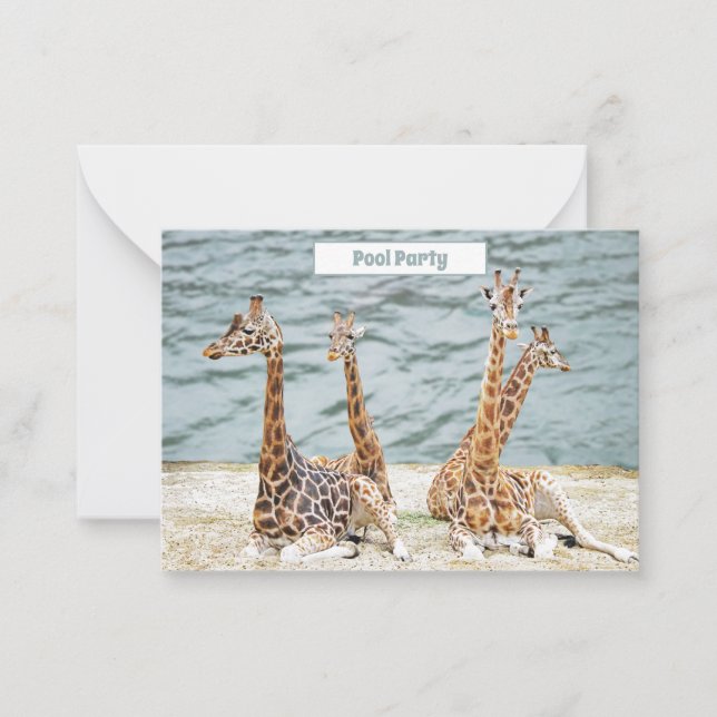 Giraffe Vatten Roligt Photo - Four Giraffe's Party Anteckningskort (Framsida)