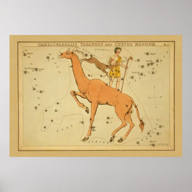 Giraffe - Vintage Astronomical Star Chart Image Poster (Framsidan)