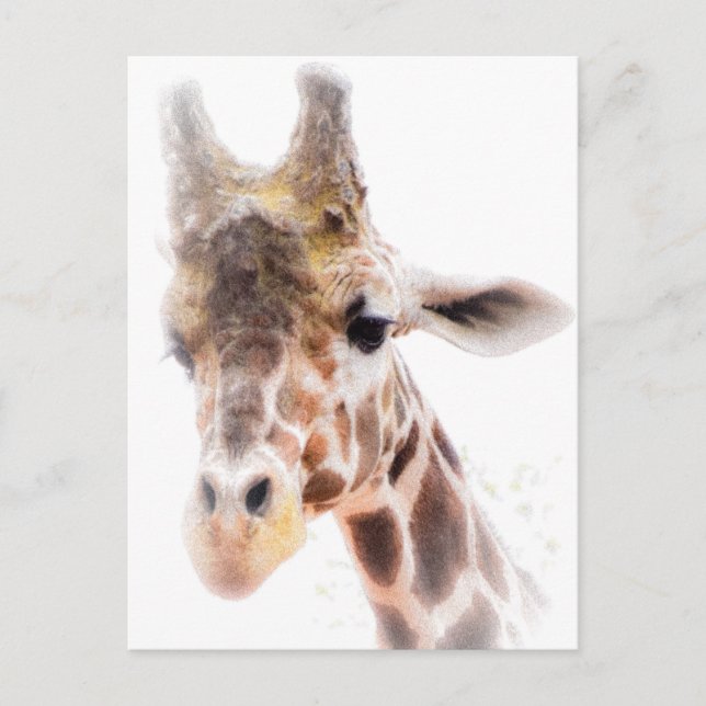 Giraffe vycard vykort (Framsida)