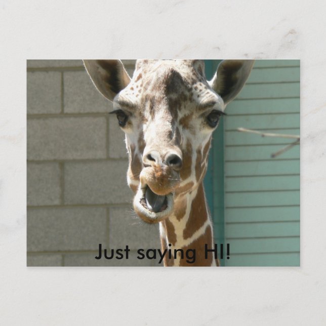Giraffe vycard vykort (Framsida)