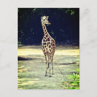 Giraffe vycard vykort