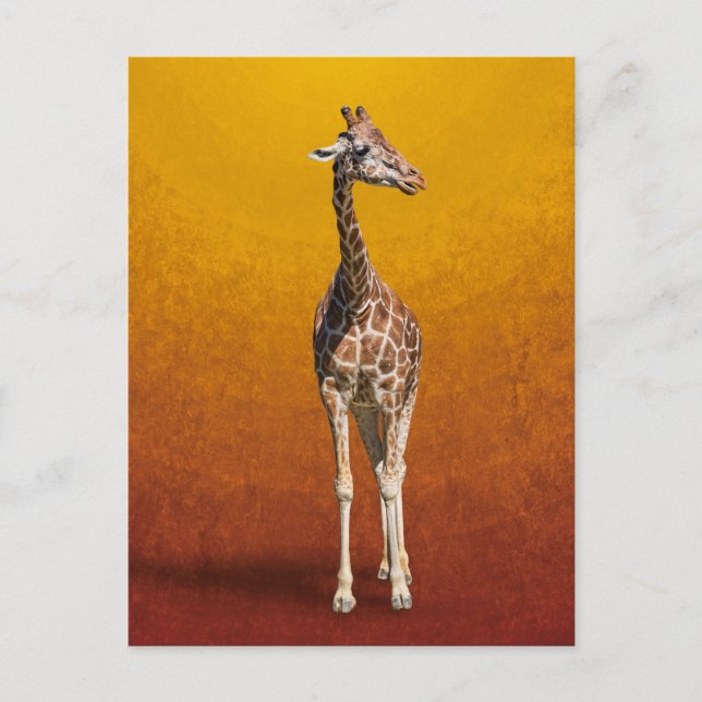 GIRAFFE VYKORT (Framsida)