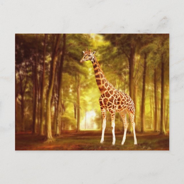 Giraffe Vykort (Framsida)