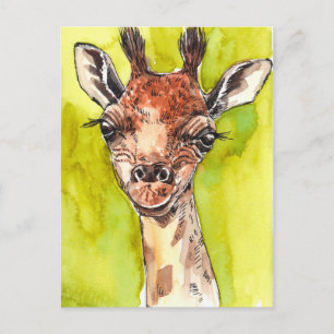 Giraffe Vykort