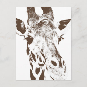 Giraffe Vykort