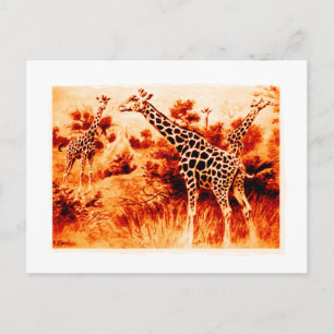 Giraffe Vykort