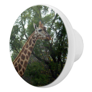 Giraffe Walk med natur, Knopp