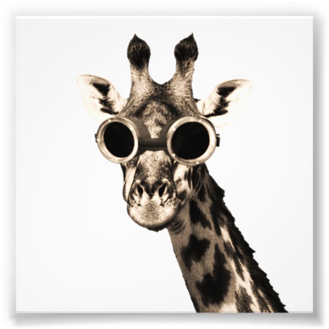 Giraffe with Steampunk Sunglass Goggles Fototryck (Framsidan)