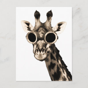 Giraffe with Steampunk Sunglass Goggles Vykort