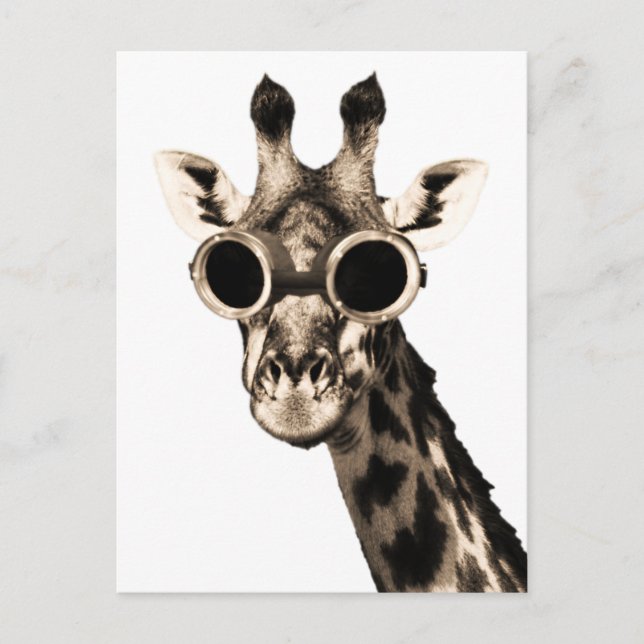 Giraffe with Steampunk Sunglass Goggles Vykort (Framsida)