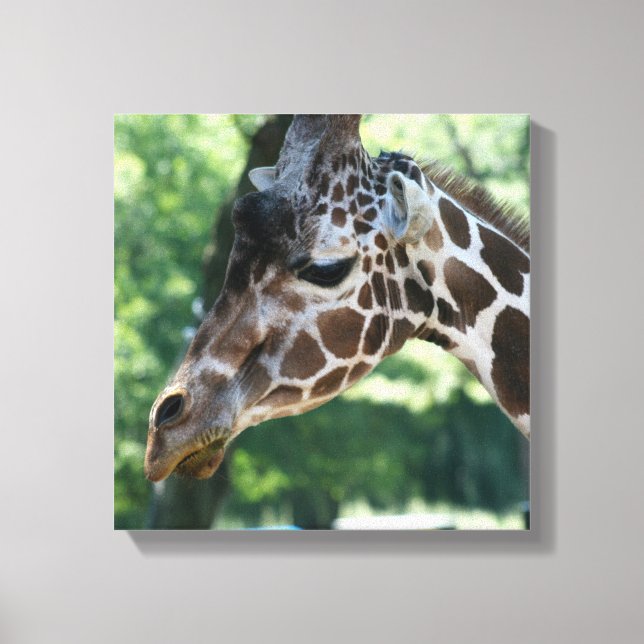 Giraffe Wrapped Canvas (Framsida)