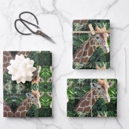 Giraffe Wrapping Pappra Lakan