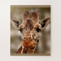 Giraffe Zoo Animal Porträtt Vild Puzzle