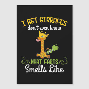 Giraffeälskare Giraff Vad Rapar Luktar Som