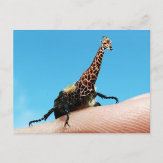 Giraffebeetle-vykort Vykort