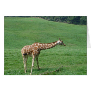 Giraffekort! Hälsningskort
