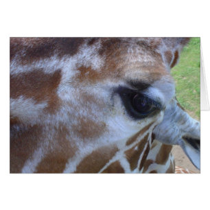 Giraffekort! Hälsningskort