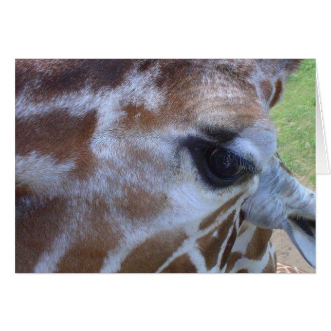 Giraffekort! Hälsningskort (Framsidan Horizontal)