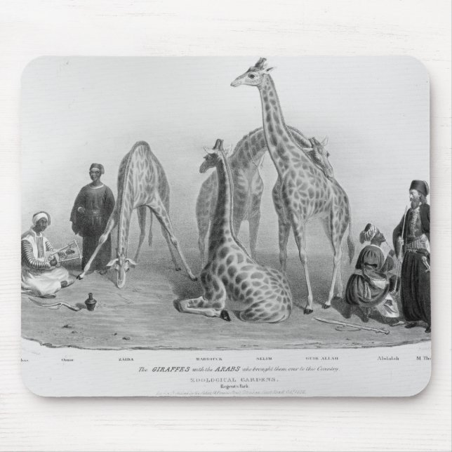 Giraffen med arabsna musmatta (Framsidan)