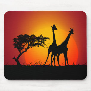 Giraffer i munstycket av Afrika Musmatta