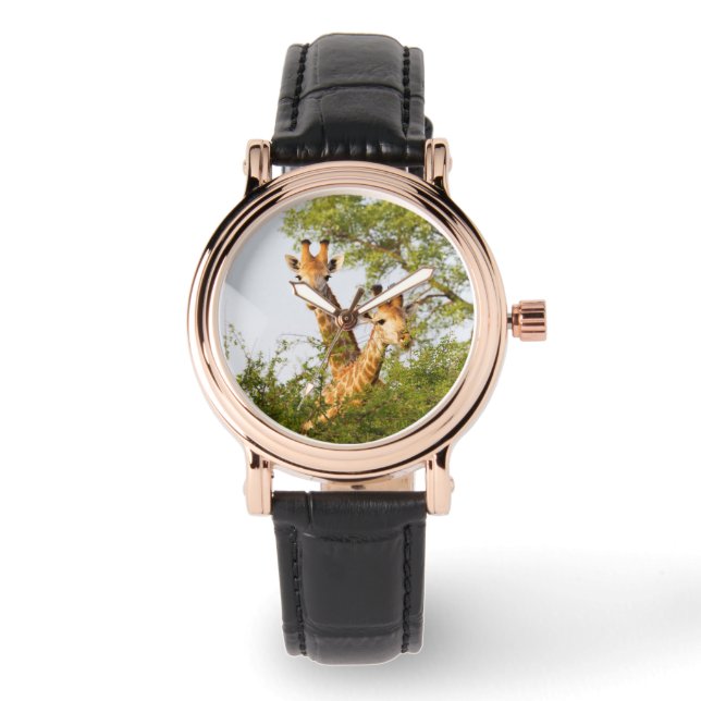 Giraffer kikande ovanför vegetationen armbandsur (Framsida)