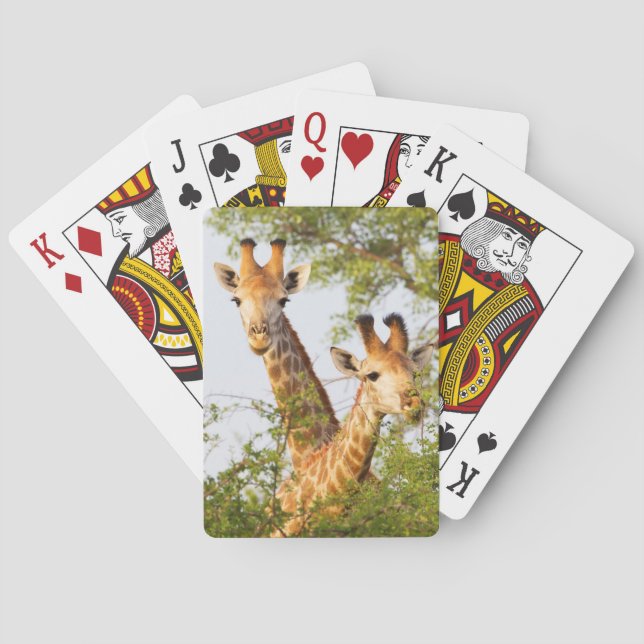Giraffer kikande ovanför vegetationen casinokort (Baksidan)