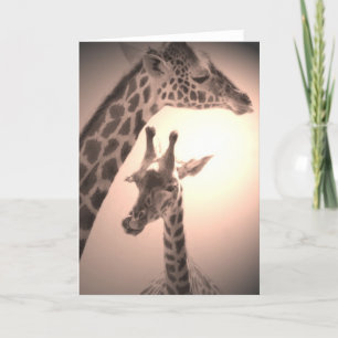 giraffer, mor och barn kort