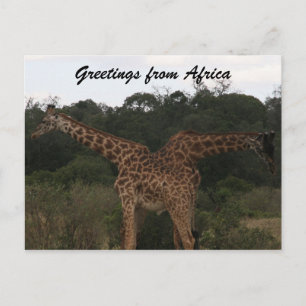 giraffer över afrikan vykort