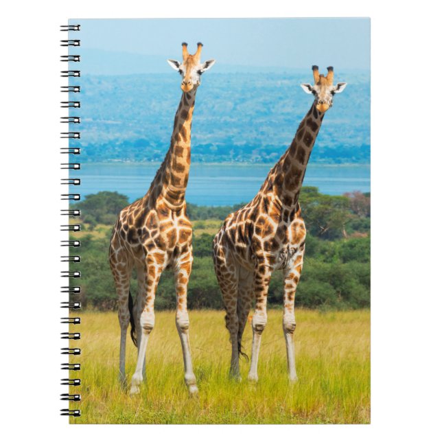 Giraffer på savannen, Uganda Anteckningsbok (Framsidan)