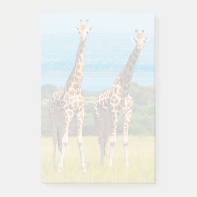 Giraffer på savannen, Uganda Post-it Block (Framsida)