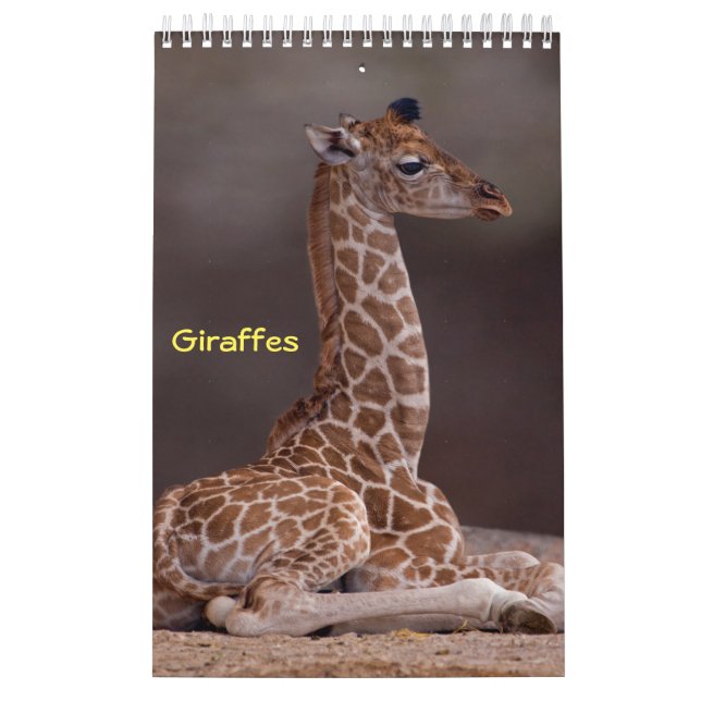 Giraffers kalender (Omslag)