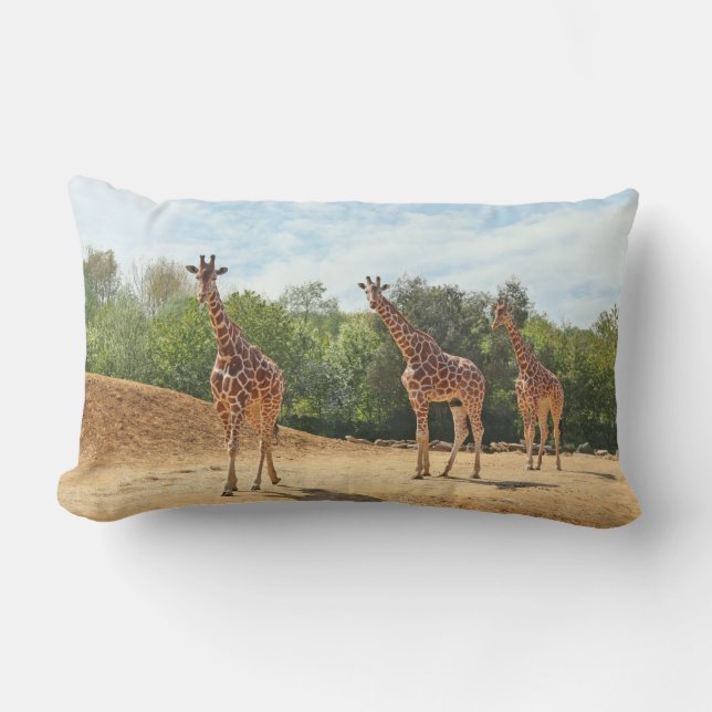 Giraffers kudde (Framsida)