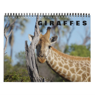 GIRAFFES a 2019 Calendar Kalender