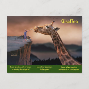 Giraffes arter är nu utrotningshotade - helg vykort