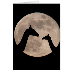 Giraffes at full Moon Hälsningskort