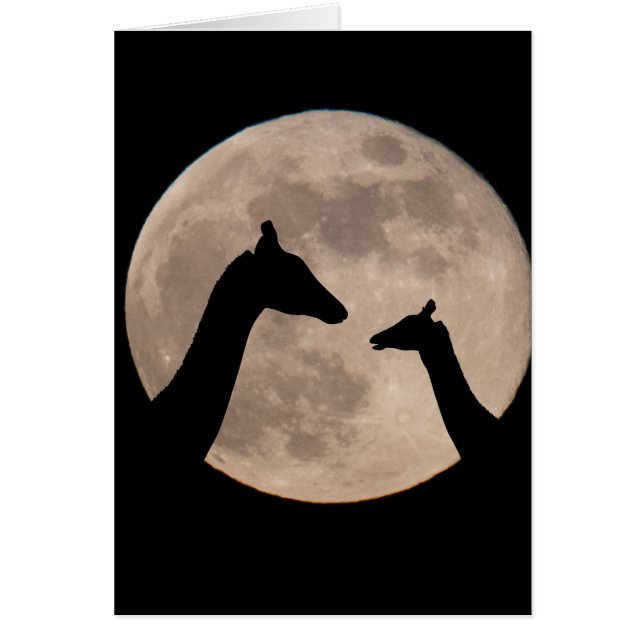 Giraffes at full Moon Hälsningskort (Framsidan)