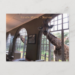 Giraffes at Giraffe Manor in Nairobi Vykort