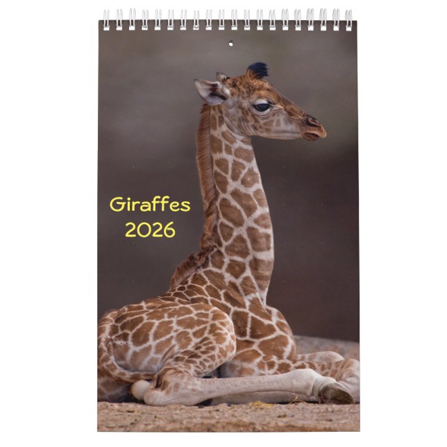 Giraffes Calendar Kalender (Omslag)