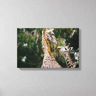 Giraffes Canvastryck