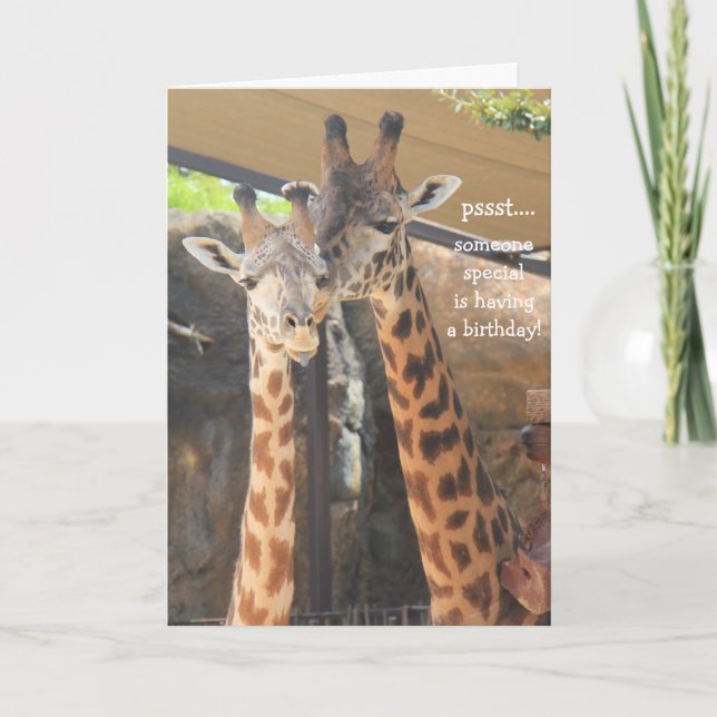 Giraffes födelsedagskort för någon speciell kort (Framsida)