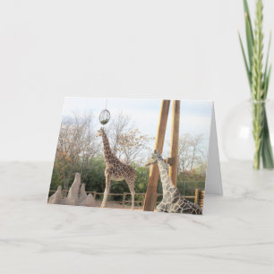 Giraffes födelsedagskort kort